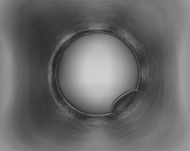 X0000113360724200909151006