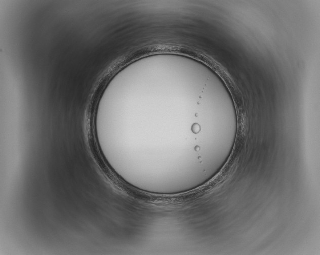 X0000113360725200909151006