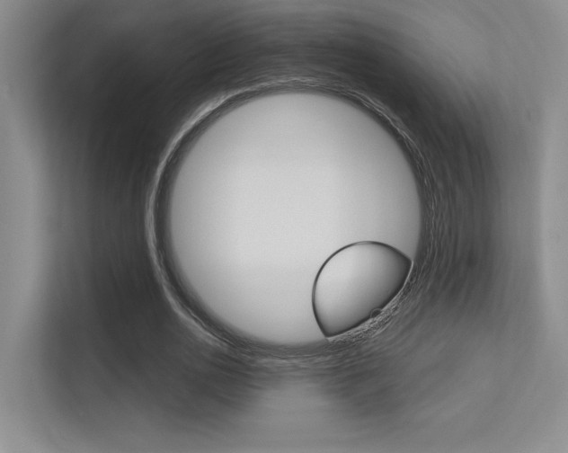 X0000113360726200909151006