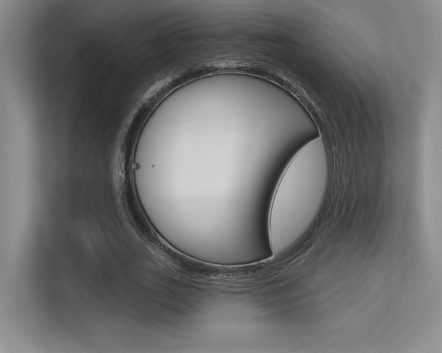 X0000113360727200909151006