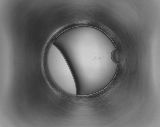 X0000113360728200909151006
