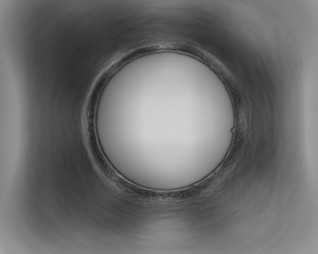 X0000113360730200909151006