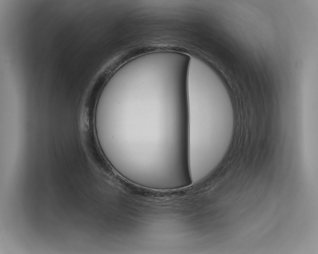 X0000113360731200909151006
