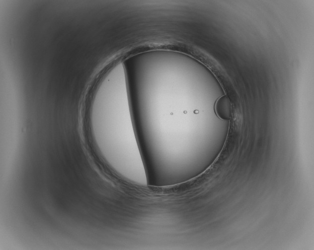 X0000113360732200909151006