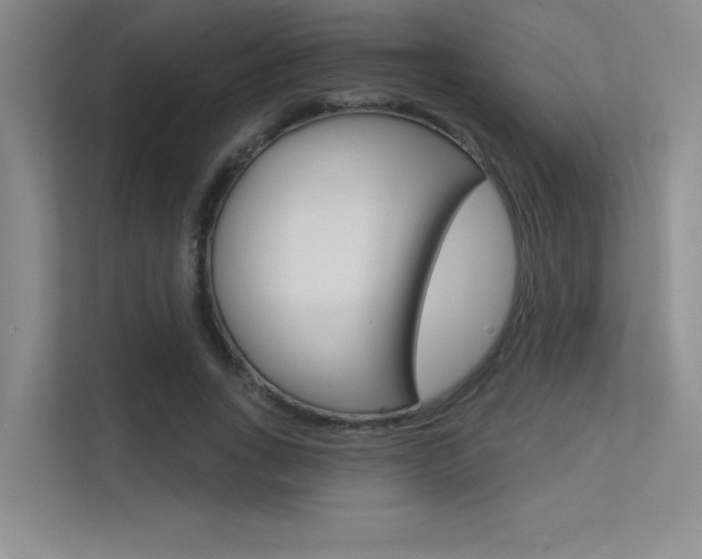 X0000113360735200909151006