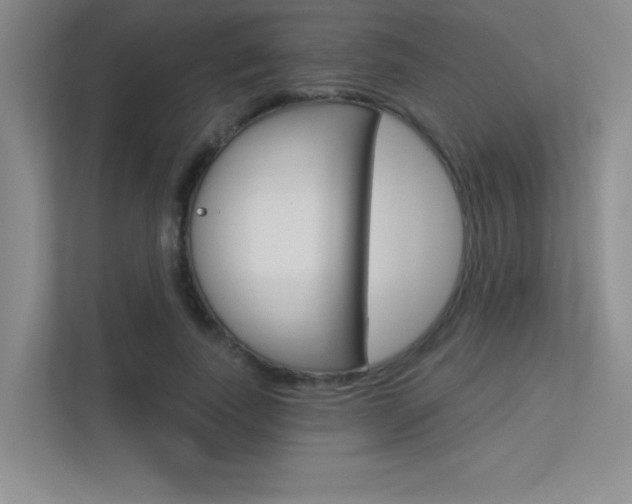 X0000113360739200909151006