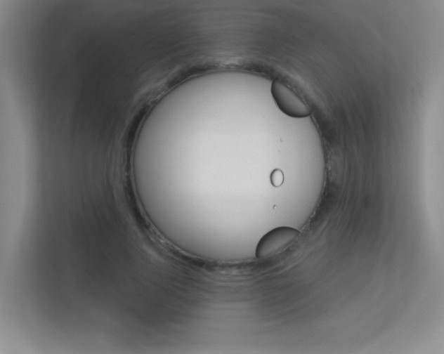 X0000113360740200909151006