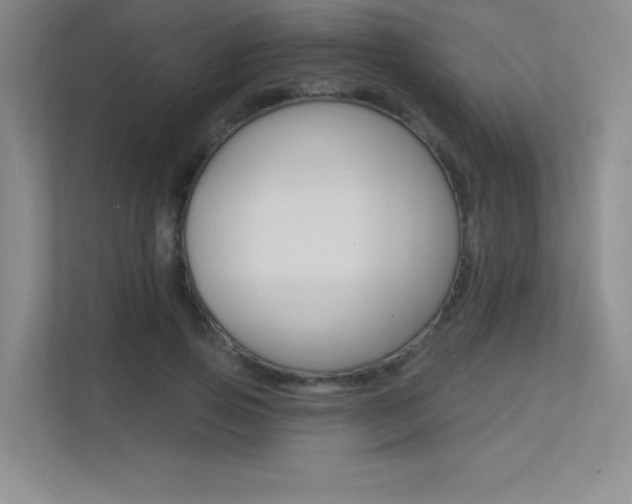 X0000113360741200909151006