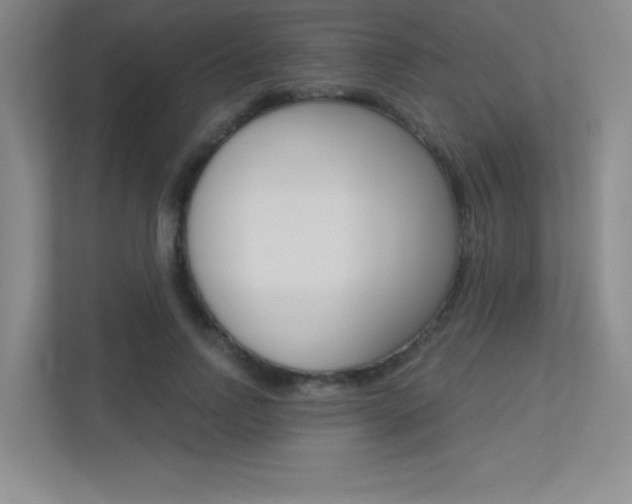 X0000113360742200909151006
