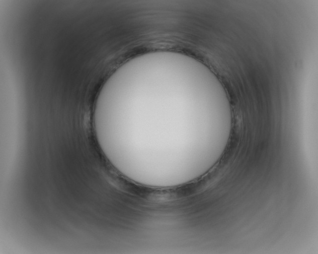 X0000113360745200909151006