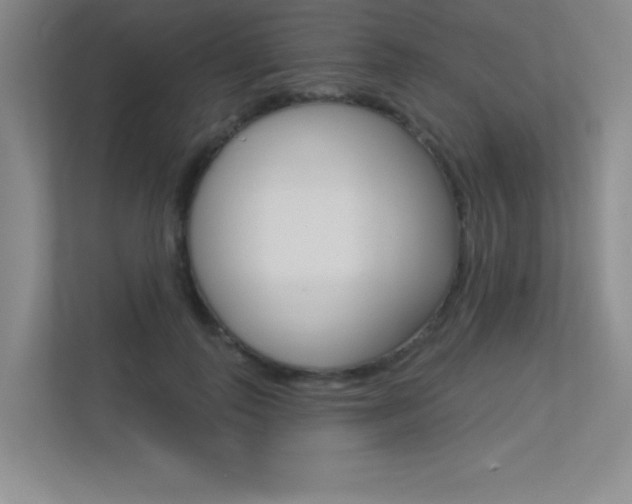 X0000113360747200909151006