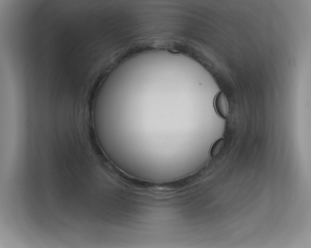 X0000113360748200909151006