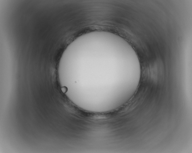X0000113360749200909151006