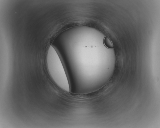 X0000113360750200909151006