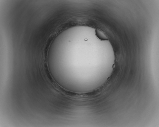 X0000113360752200909151006