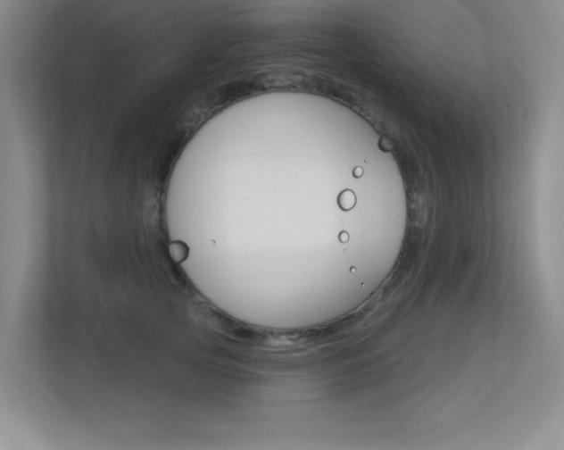 X0000113360753200909151006