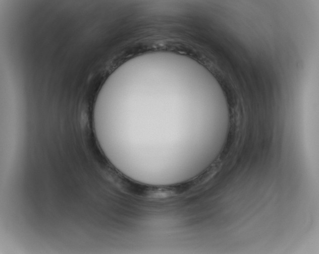 X0000113360754200909151006