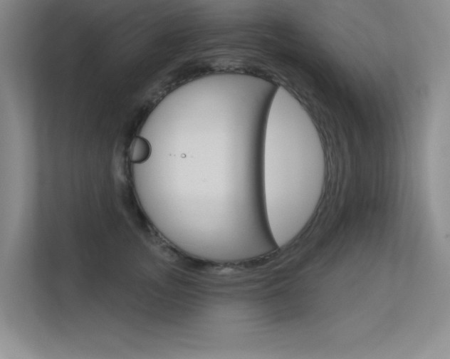 X0000113360755200909151006