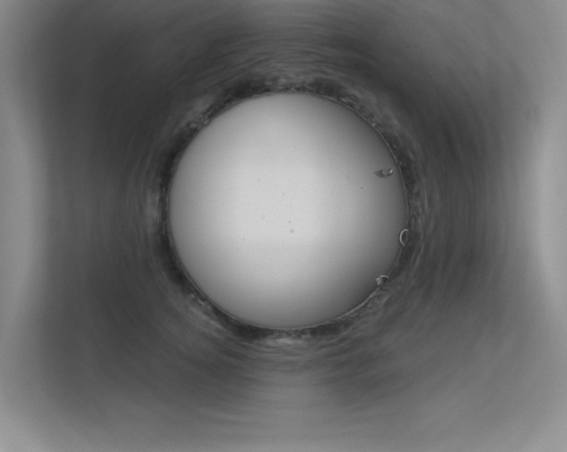 X0000113360756200909151006