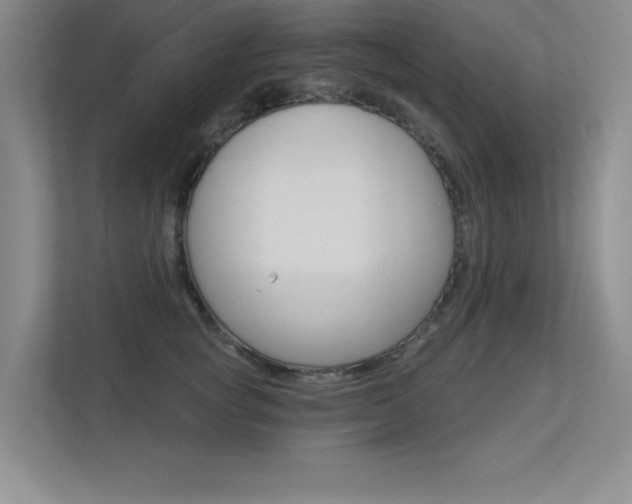 X0000113360757200909151006