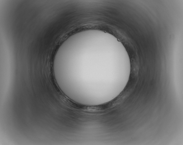 X0000113360758200909151006