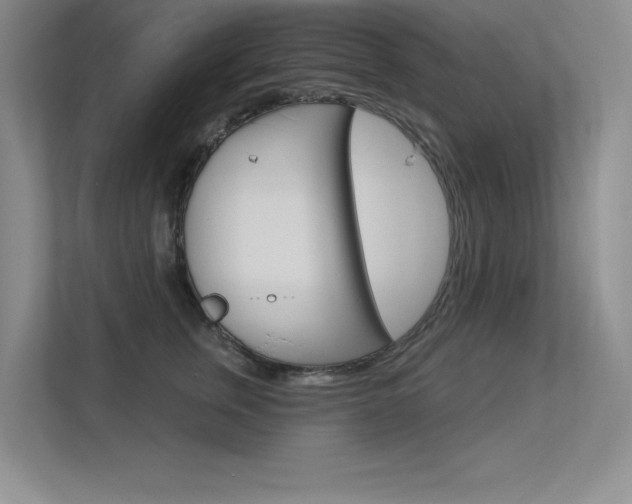 X0000113360759200909151006