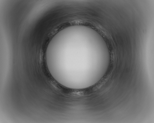 X0000113360760200909151006