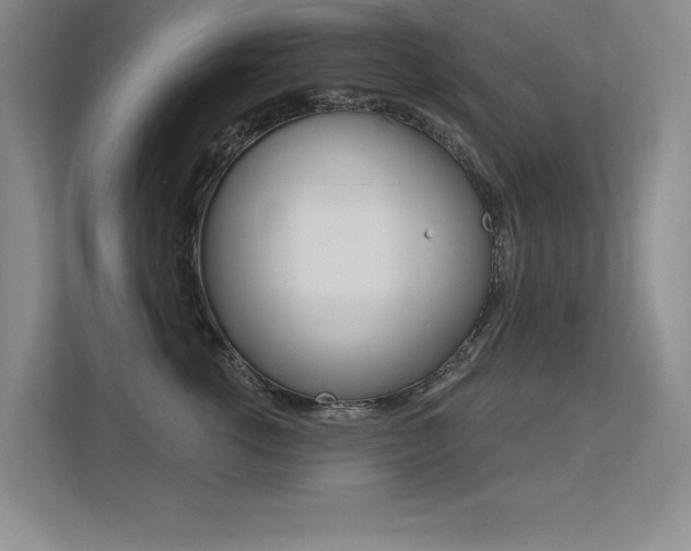 X0000113360762200909151006