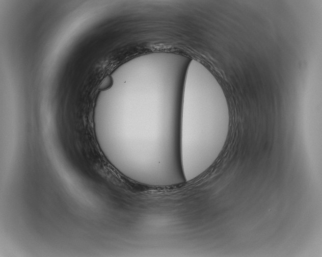X0000113360763200909151006