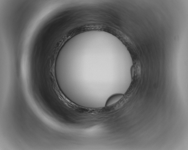 X0000113360764200909151006