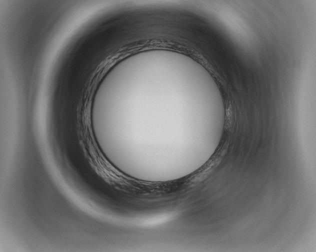 X0000113360765200909151006