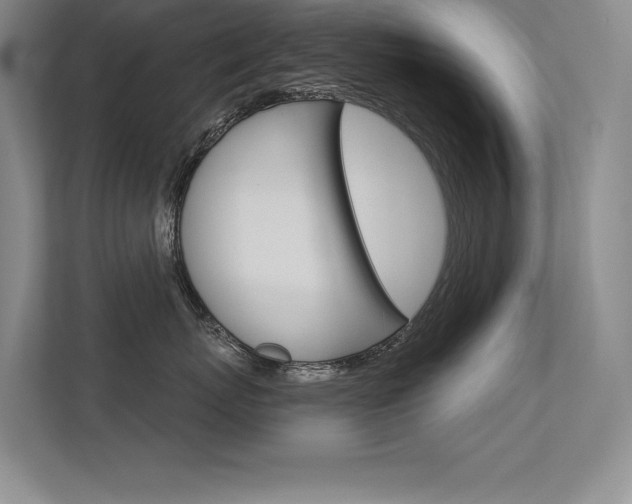X0000113360767200909151006