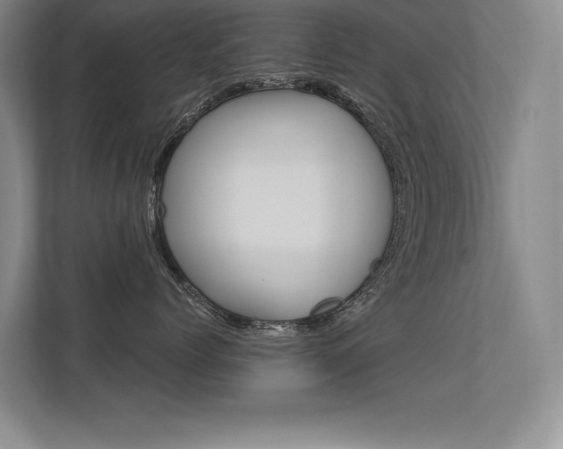 X0000113360768200909151006