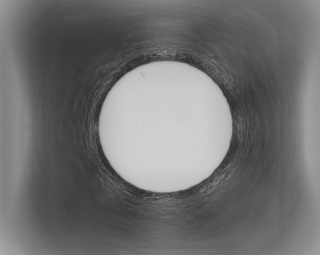 X0000113360769200909151006