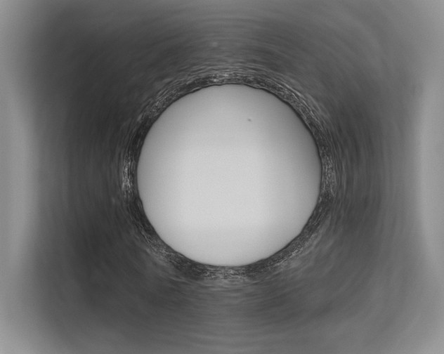 X0000113360770200909151006