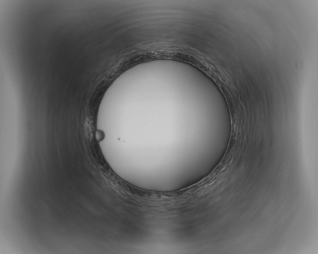 X0000113360772200909151006