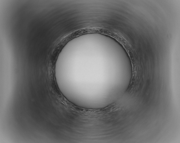 X0000113360773200909151006