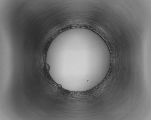 X0000113360774200909151006