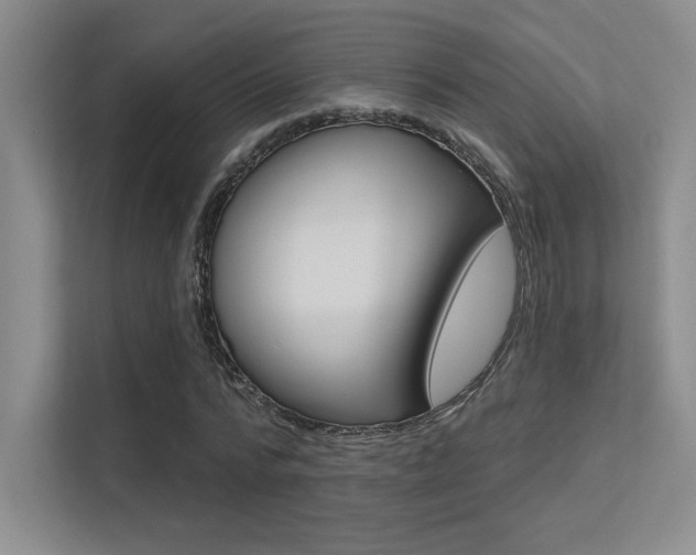 X0000113360776200909151006