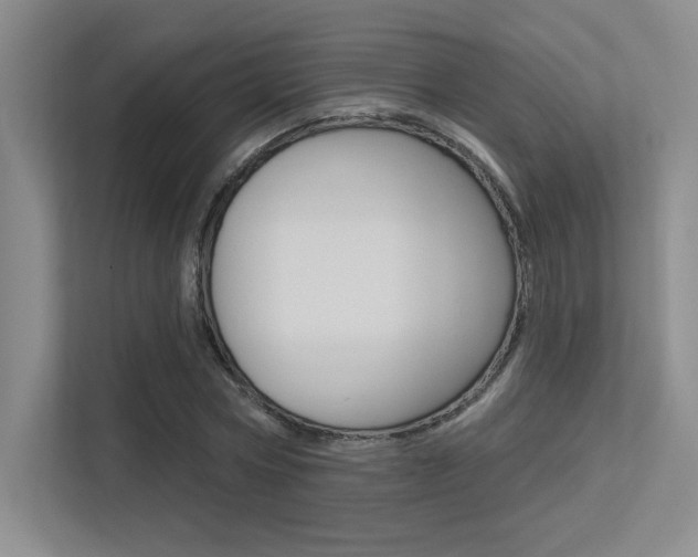 X0000113360778200909151006