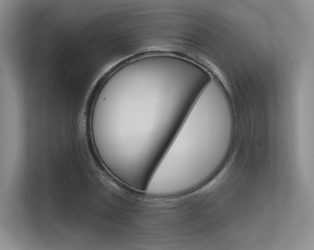 X0000113360779200909151006