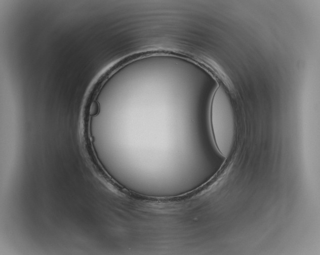 X0000113360780200909151006