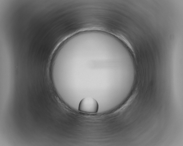 X0000113360781200909151006