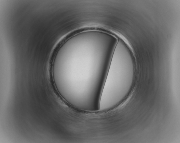 X0000113360783200909151005