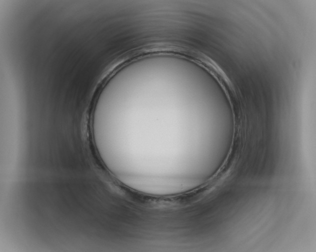 X0000113360786200909151005
