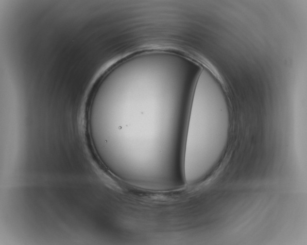 X0000113360787200909151005