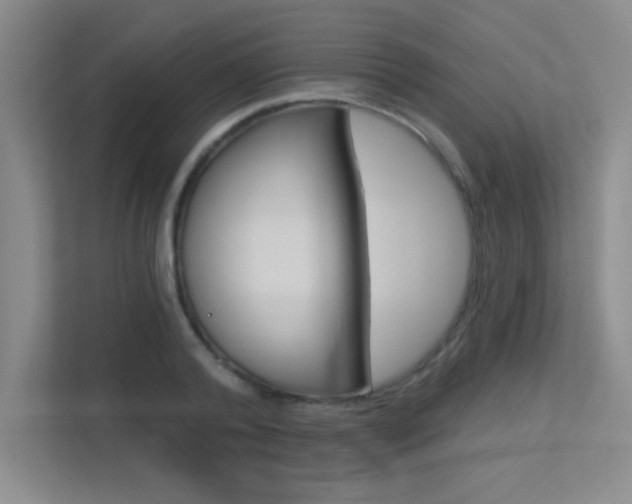 X0000113360792200909151005