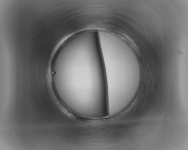X0000113360796200909151005