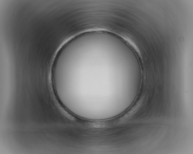 X0000113360797200909151005