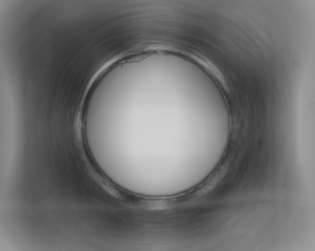 X0000113360798200909151005